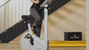 SportPlus_Heimtrainer_SP-HT-9600-IE