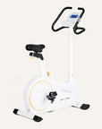 Heimtrainer mit App-Steuerung bis 225W SP-HT-9600-iE SportPlus Snow/Sun 